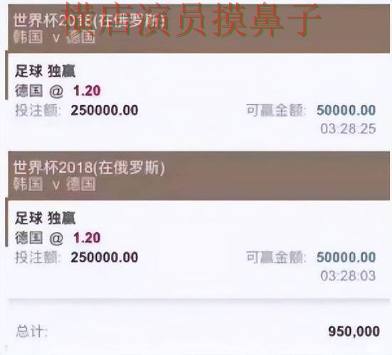 新手必看：世界杯投注平台合集用户反馈详解 + 世界杯全球总决赛