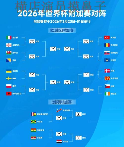 新手必看：世界杯投注网站大全用户反馈+直播详解 + World Cup 2026